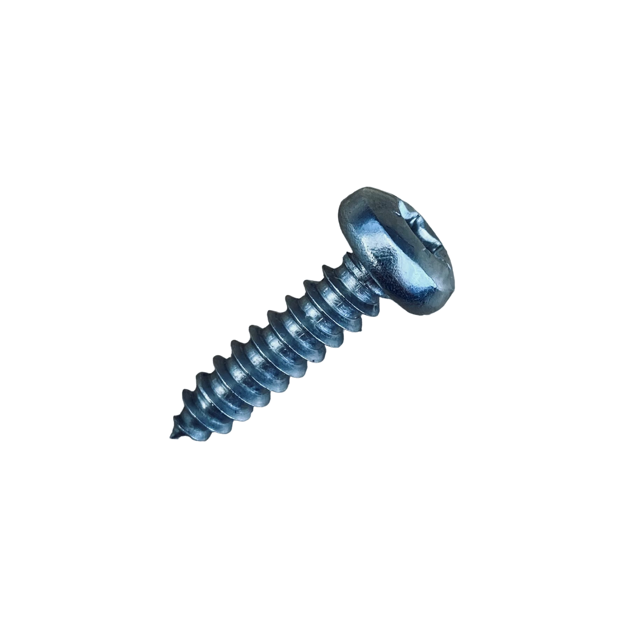 Vis à tôle à tête bombée inoxydable 4.8 x 19 mm