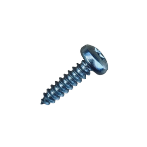 Vis à tôle à tête bombée inoxydable 4.8 x 19 mm